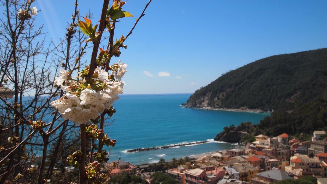 Piccolo Hotel Moneglia Buitenkant foto